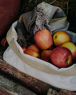 Paper Tray with handles