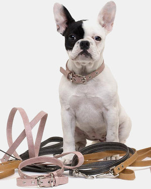 Paper Lead