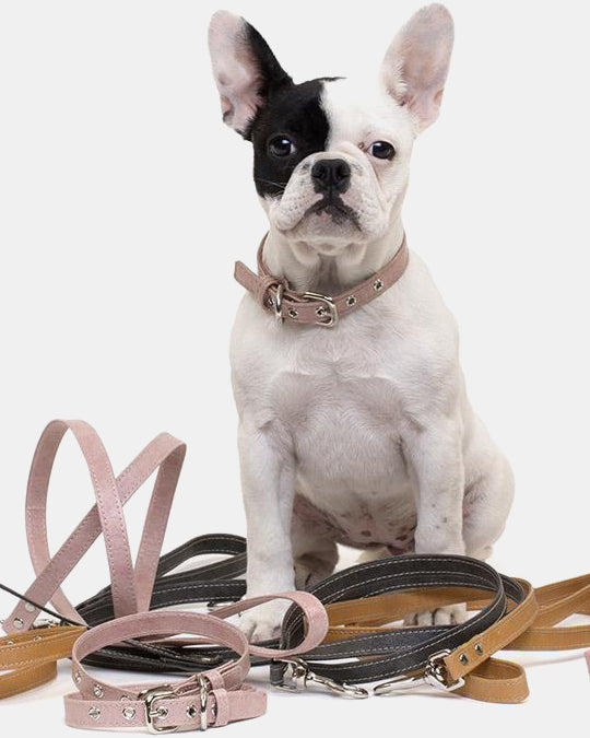 Paper Lead